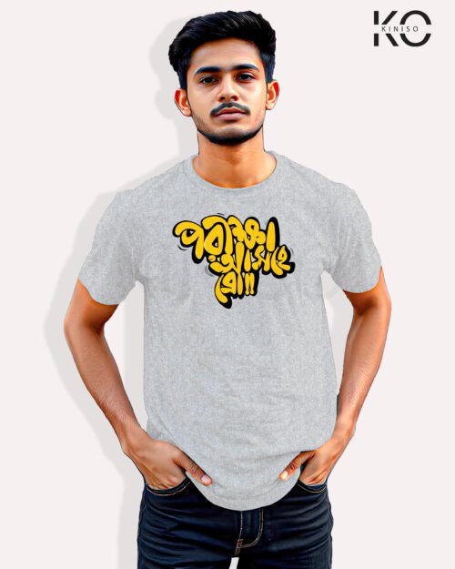 Image of t-shirt Porikkha Asche Bro Grey